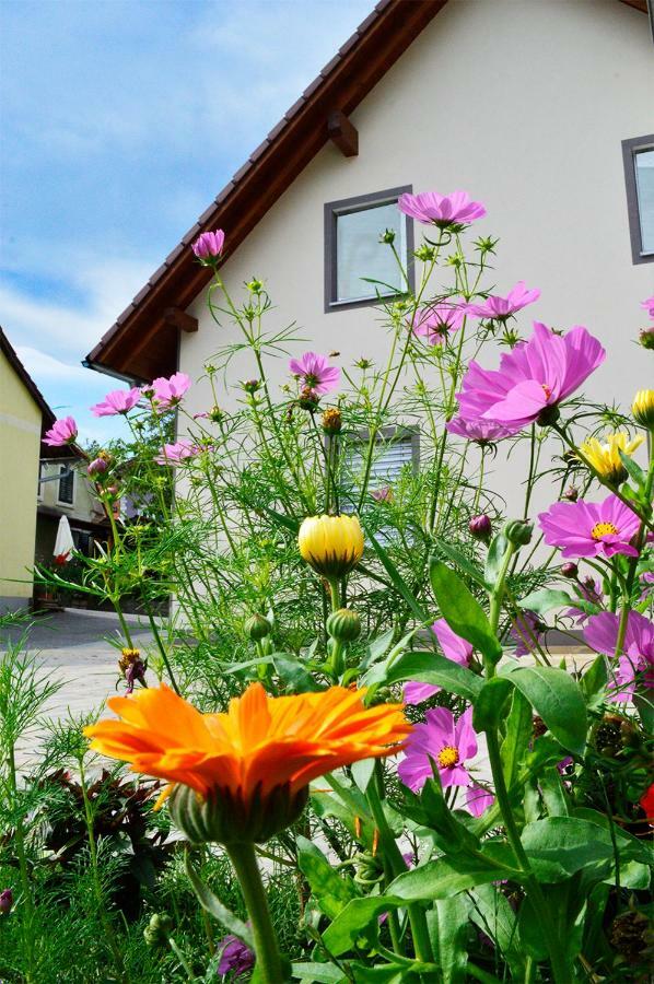Haus Rosy Ferienwohnung シュトゥーベンベルク エクステリア 写真